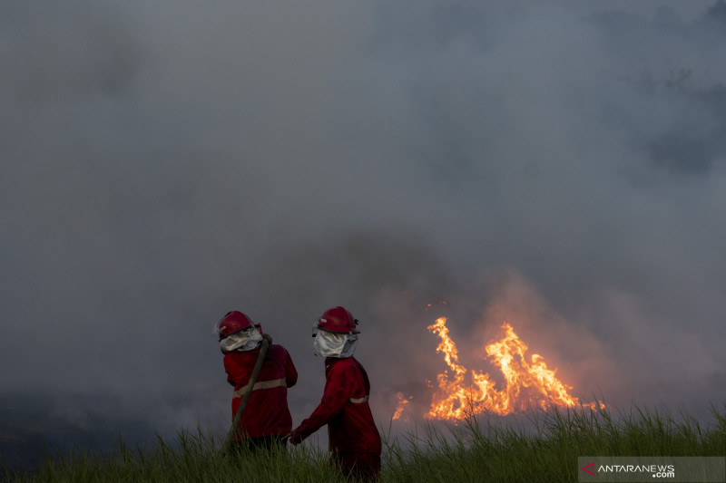 Pemadaman Kebakaran Lahan di Desa Rawa Jaya Pemulutan