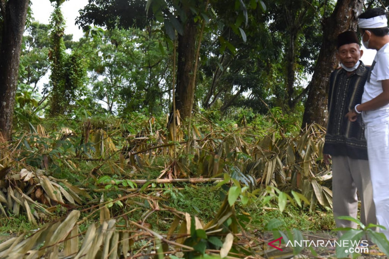 Paguyuban LMDH Jabar minta KLHK matangkan kembali konsep perhutanan sosial