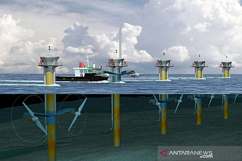 Masa depan energi Indonesia ada di laut - ANTARA News