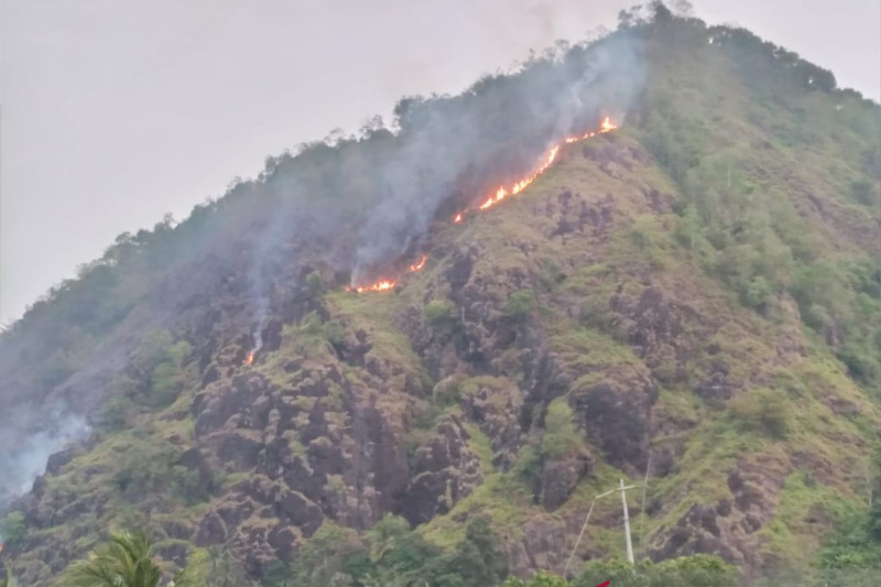 Lima hektare lahan lereng Gunung Puncak Habibie Sukabumi terbakar