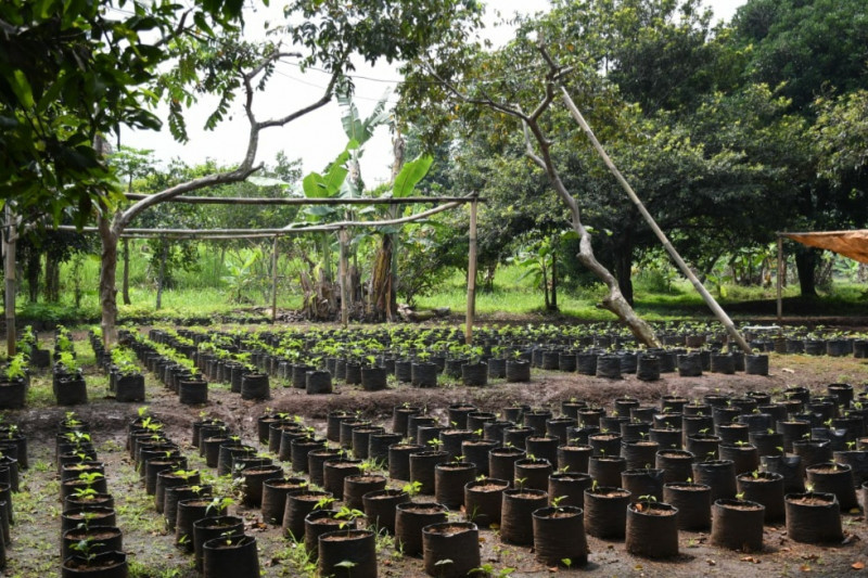 Kondisi infrastruktur satuan pelayanan benih dan hortikultura memprihatikan, kata DPRD Jabar