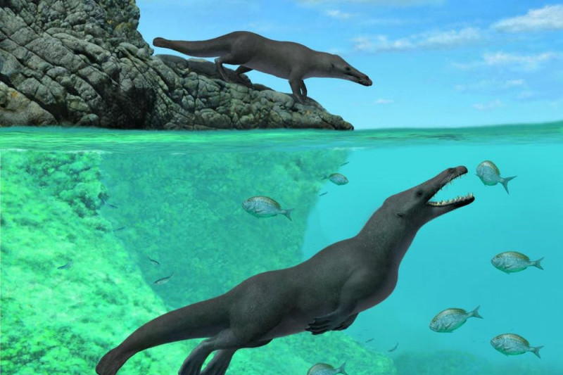 Fosil paus berkaki empat ditemukan ilmuwan di Mesir