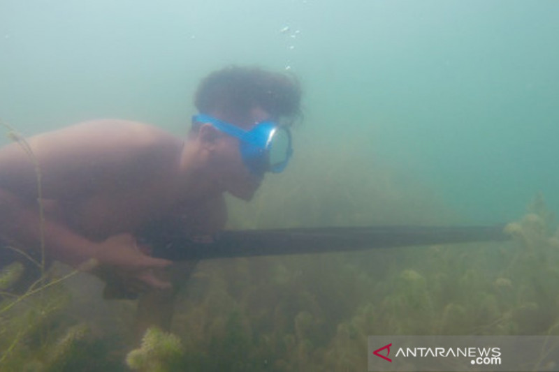 Pemanah Ikan Di Danau Singkarak