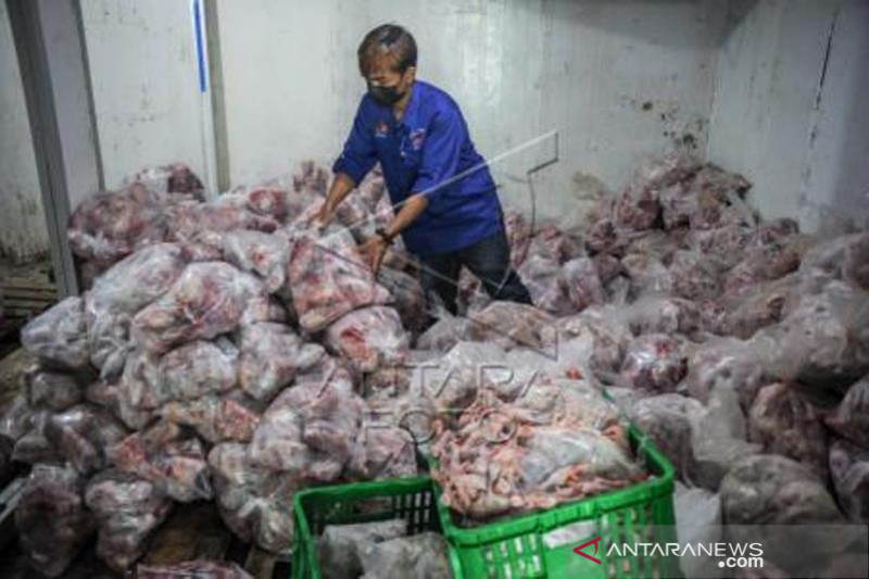 Bantuan Ayam Segar Bagi Warga Terdampak Pandemi