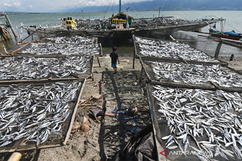 Pengeringan Ikan Terkendala Cuaca