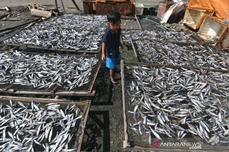 Pengeringan Ikan Terkendala Cuaca