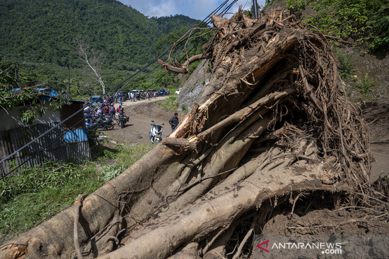 Jalan Trans Palu-Palolo Tertimbun Longsoran