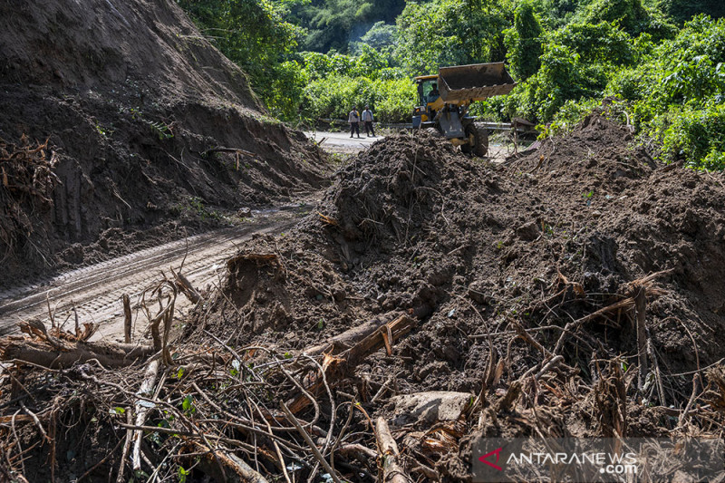 Jalan Trans Palu-Palolo Tertimbun Longsoran