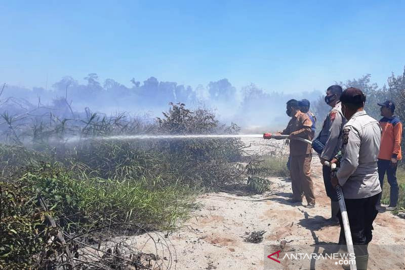BPBK Aceh Jaya catat 12,5 hektare lahan terbakar selama tahun 2022