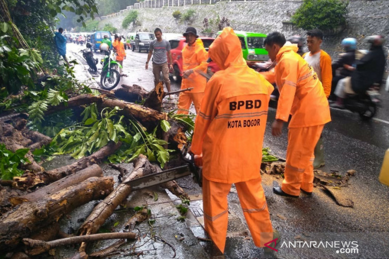 BPBD Kota Bogor siagakan tim bencana saat musim hujan