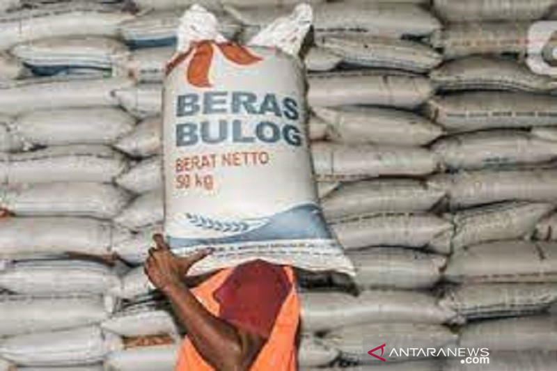 Bulog Baubau memiliki cadangan beras hingga November 2021