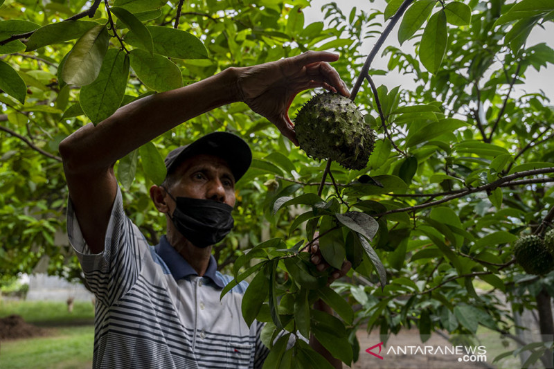 Pengembangan Agrowisata dalam kota