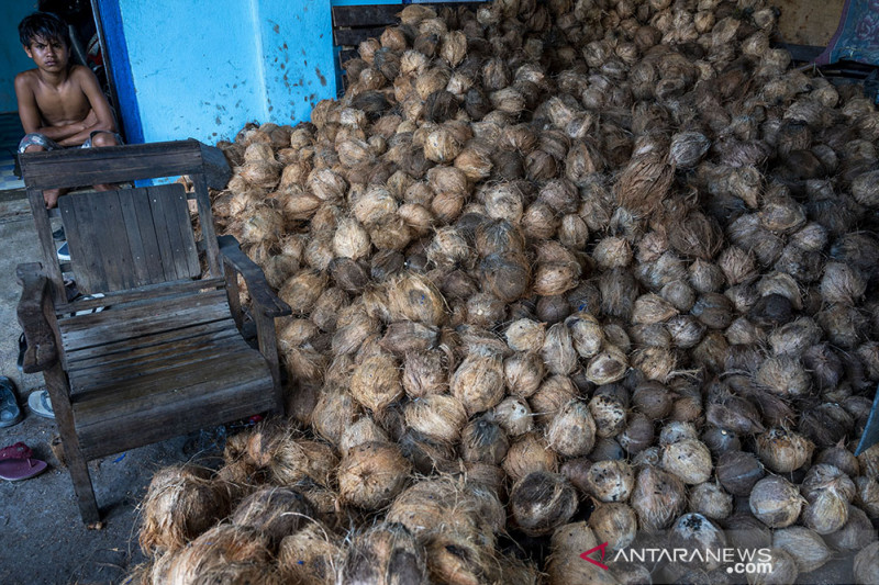 Potensi Pengembangan Usaha Sabut Kelapa