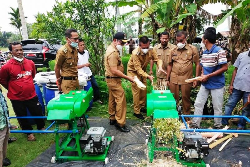 Pemkot Pariaman bantu peternak dengan mesin pencacah pakan untuk tingkat produksi ternak