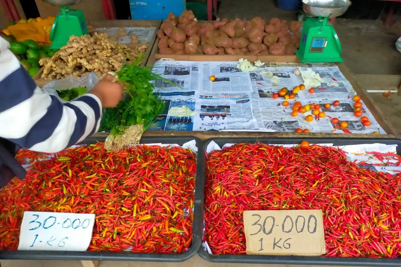 Harga cabai di Nunukan turun drastis