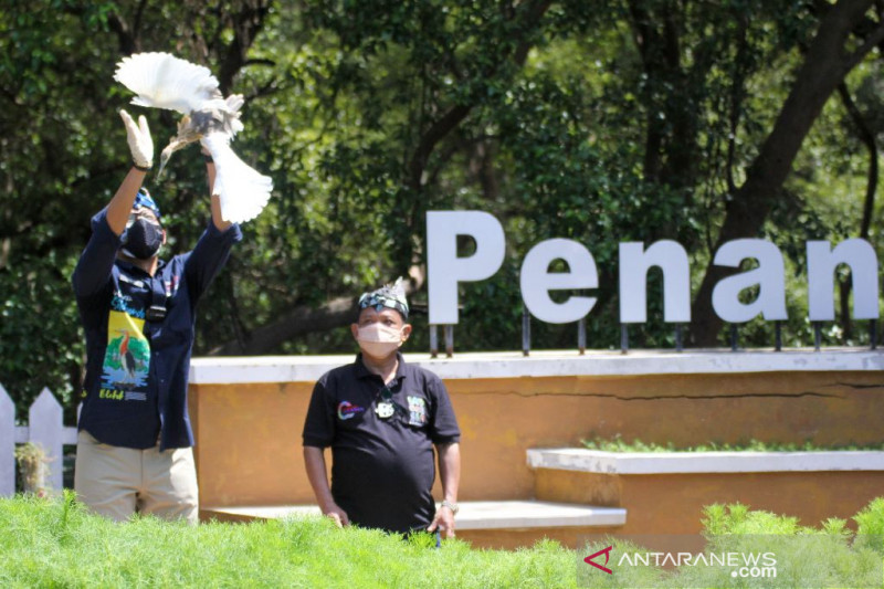 Wisata Kampung Blekok Situbondo jadi lapangan kerja baru