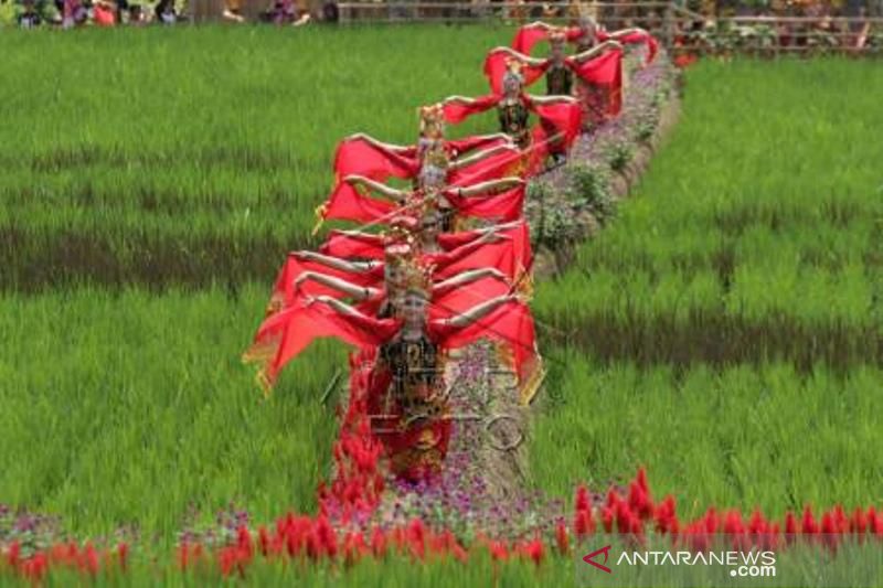 Destinasi Wisata Persawahan Di Banyuwangi