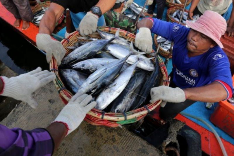 DIY bentuk 34 desa maritim meningkatkan ekonomi warga pesisir selatan