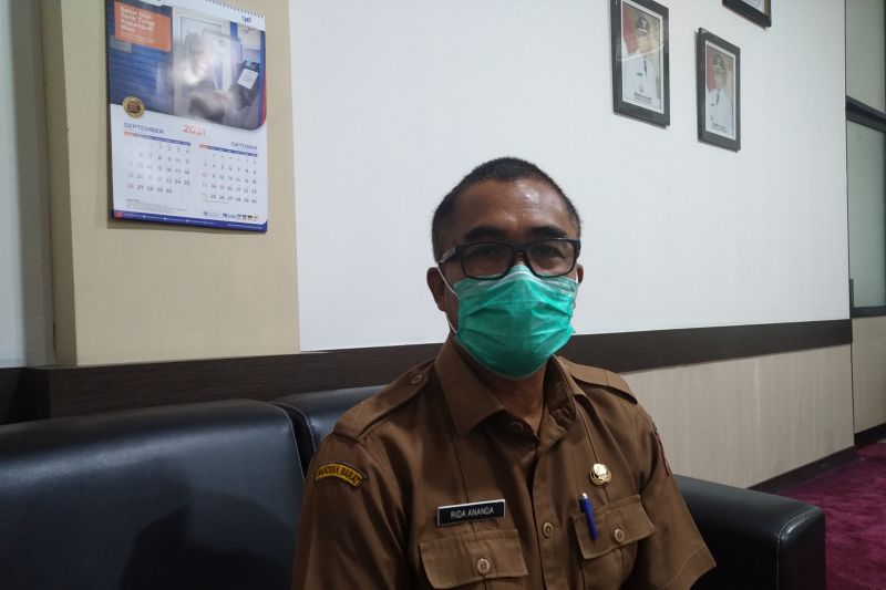 Sudah mencapai segini, realisasi PAD dari sektor pajak di Kota Payakumbuh