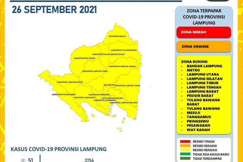 Dinkes: 11 daerah sumbang 51 penambahan kasus COVID-19 di Lampung