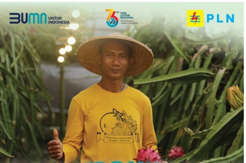 PLN Luncurkan Promo Super Dasyat Tambah Daya Hanya Rp202.100