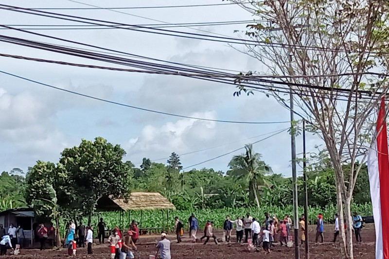 Presiden Jokowi menanam jagung bersama petani di Kabupaten Sorong