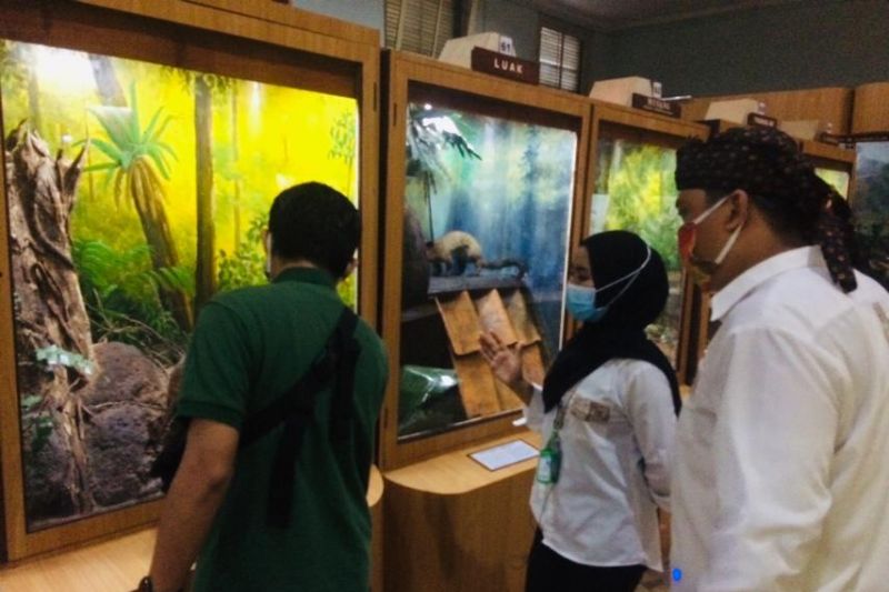 Wisata edukasi daring Kebun Raya Bogor gaet 10.000 siswa