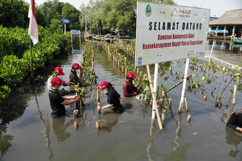 AHM tanam 1.200 pohon di wilayah Jabar