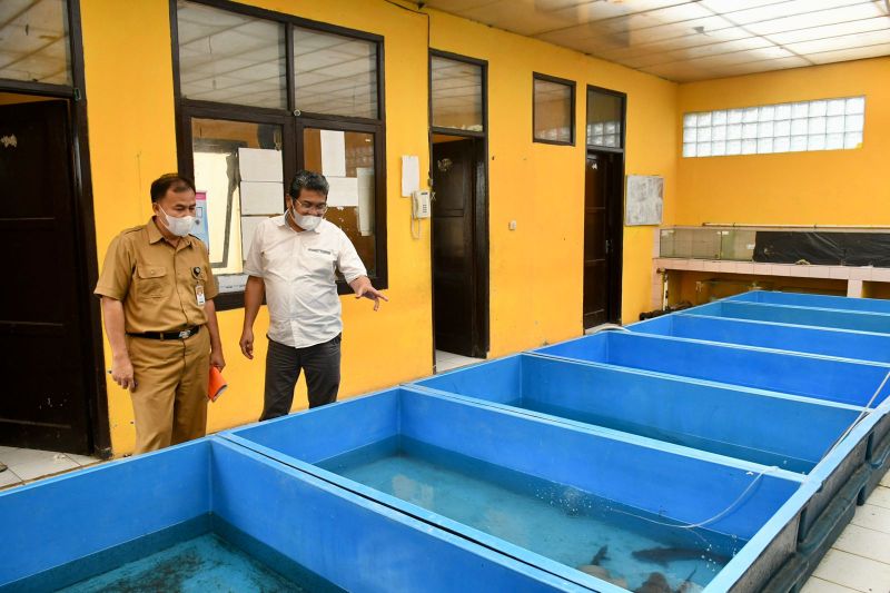 DPRD Jabar: Budi daya bibit perikanan Singaparna perlu tambahan pakan untuk tingkatkan produksi