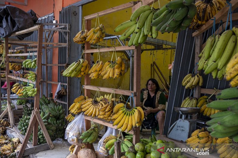 Keterbatasan Perdagangan Buah Antarpulau