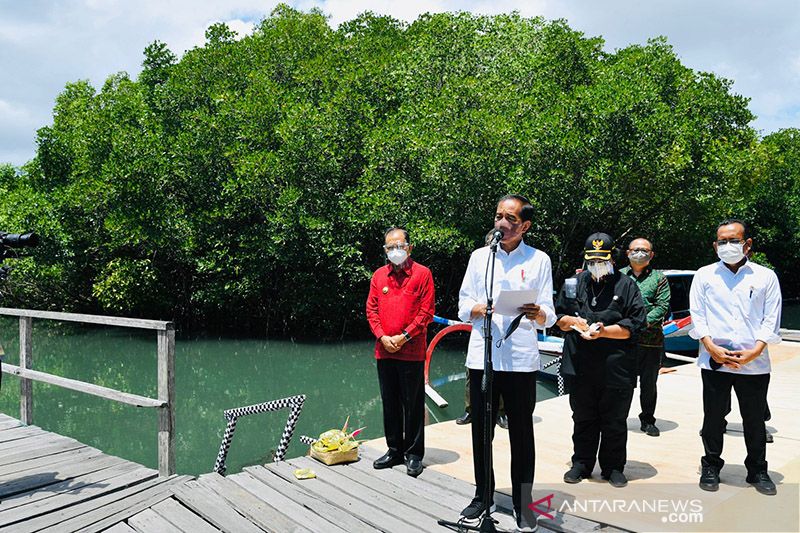 Presiden Jokowi ingin daerah lain mencontoh rehabilitasi mangrove Bali -  ANTARA News