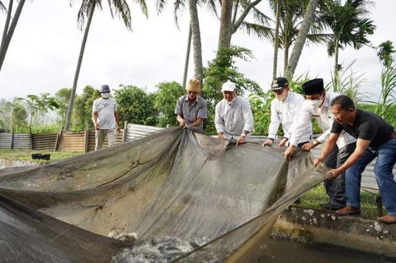 Tingkatkan hasil produksi, Tanah Datar perkenalkan teknologi baru budidaya ikan