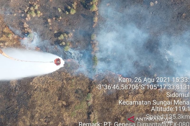 KLHK Catat Dua Ribu Hektare Lahan Di Sumsel Terbakar Selama 2021 ...