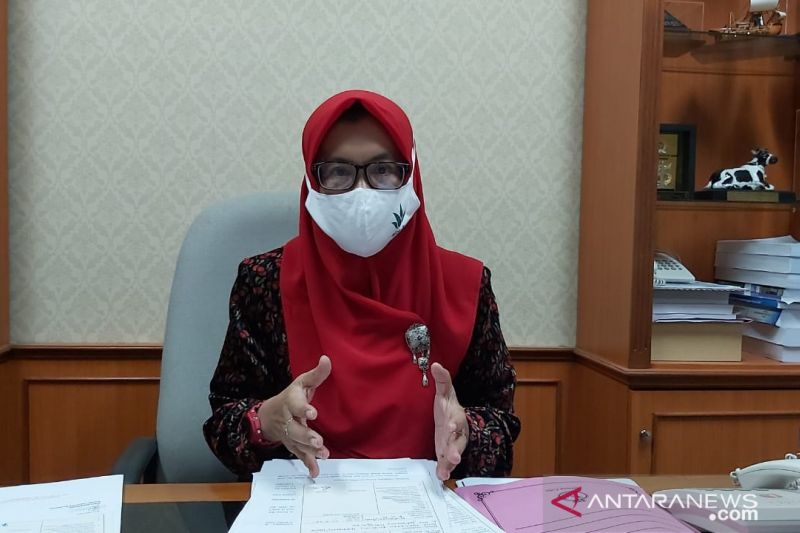 Pemkab Kulon Progo agar serius menangkap peluang ekonomi Bandara YIA