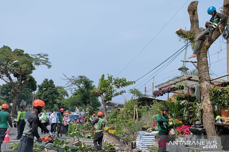 Kota Bogor targetkan tambah 660 pohon ber-KTP