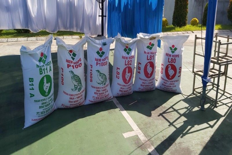 North Sumatra commences animal feed exports to Singapore - ANTARA News North Sumatra commences animal feed exports to Singapore - ANTARA News