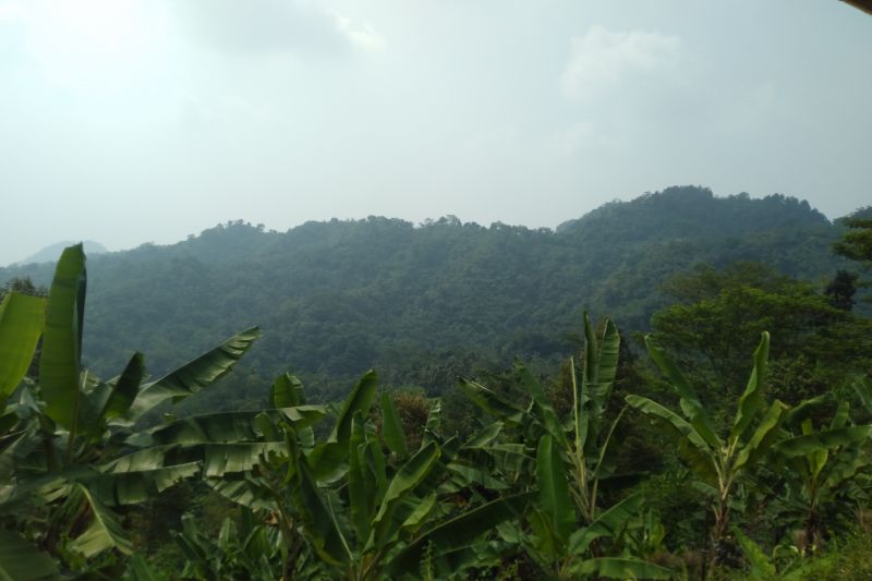 Kawasan hutan Pangkalan Karawang jadi lokasi praktikum kampus Unsika