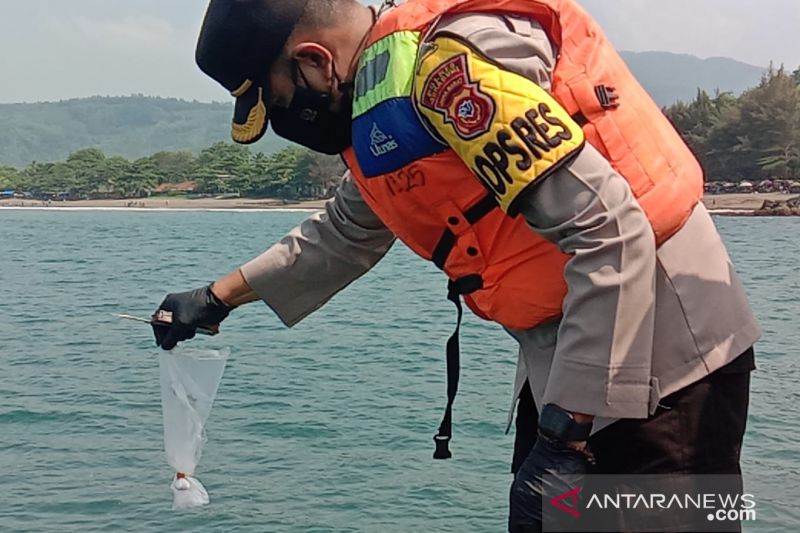 Polres Sukabumi lepasliarkan ribuan benur lobster hasil sitaan ke laut