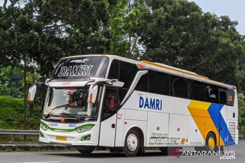Bus DAMRI buka layanan rute baru Yogyakarta-Jakarta PP