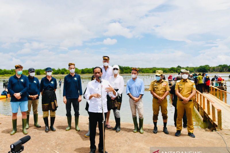 Presiden Joko Widodo targetkan rehabilitasi 600 ribu hektare hutan mangrove