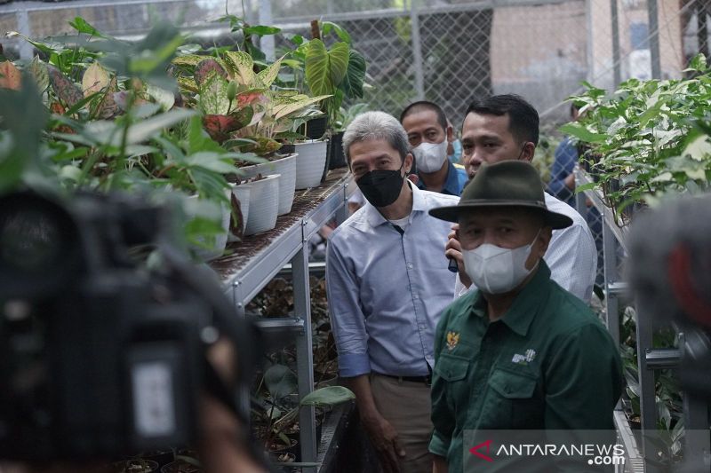 Menkop sebut tanaman hias Bogor jadi opsi pemulihan ekonomi
