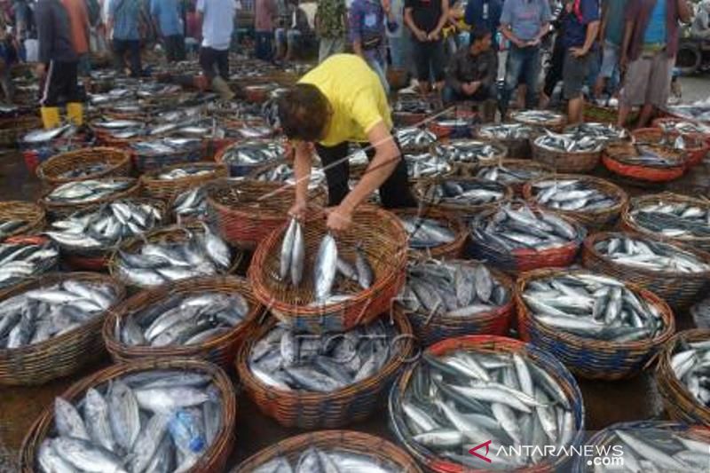 Pemerintah Gencarkan Kampanye Konsumsi Ikan Cegah Stunting