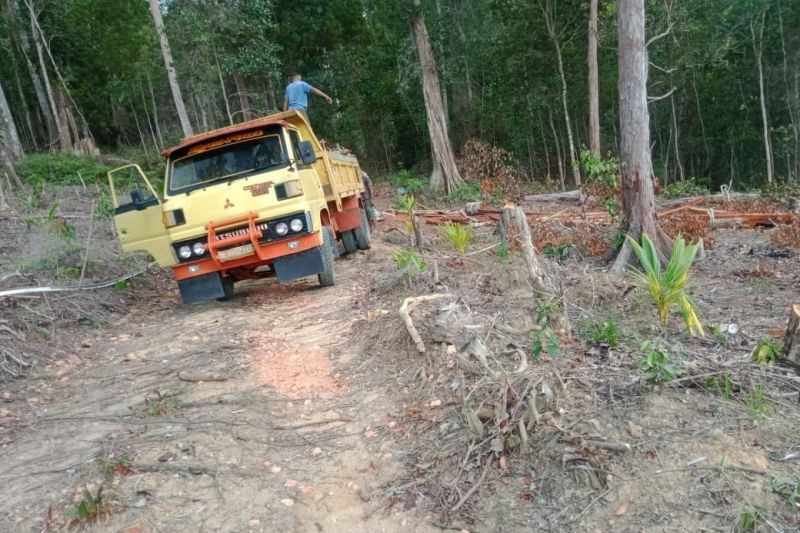 Hutan Gunung Lengkuas Bintan gundul karena dijarah