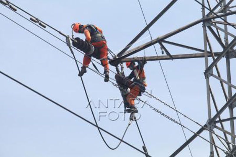 Upaya PLN turunkan emisi karbon