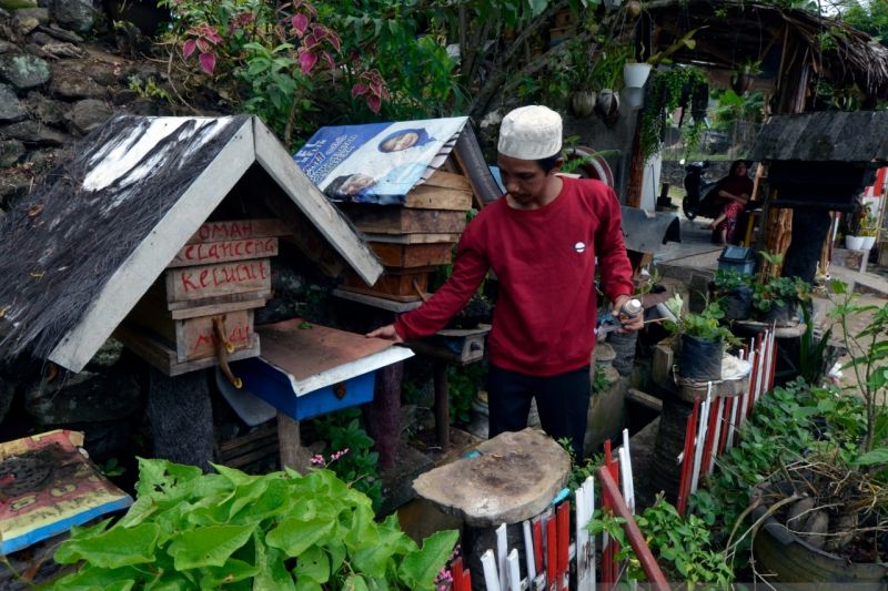 Budi daya madu teuweul di Lampung