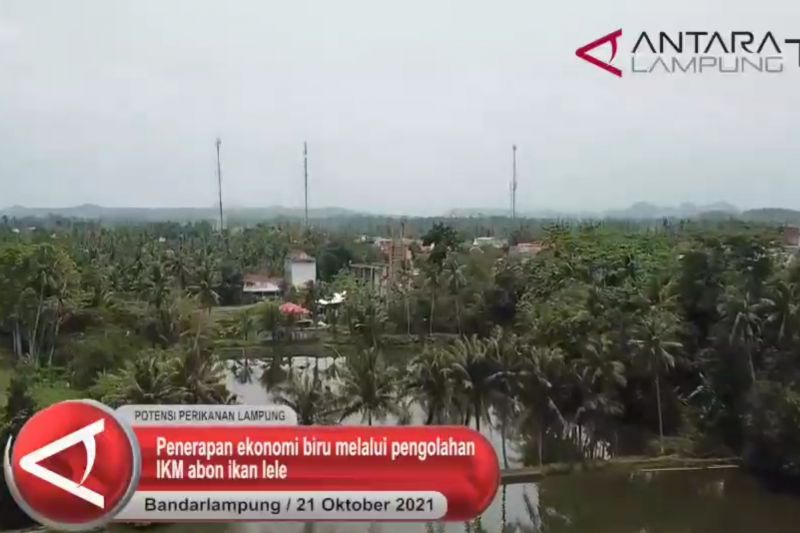 Penerapan ekonomi biru melalui pengolahan abon lele Pringsewu