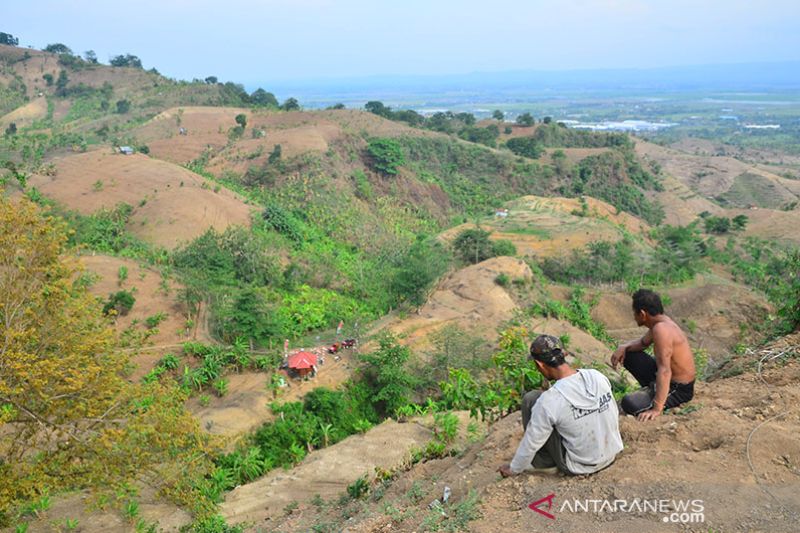 Indonesia records decline in deforestation in 2021--2022 - Vimarsana News