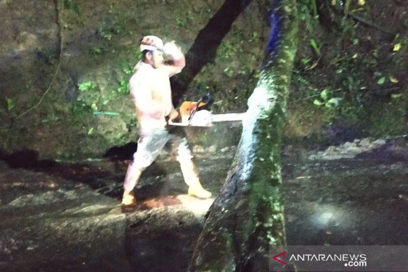 Jalan penghubung di Cianjur selatan putus akibat pohon tumbang