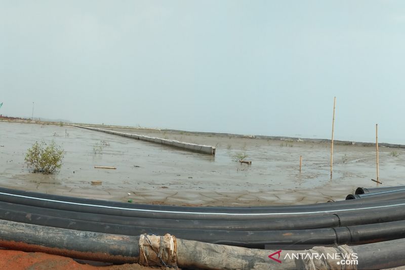 Pembudidaya ikan nila manfaatkan lahan bekas tambak udang