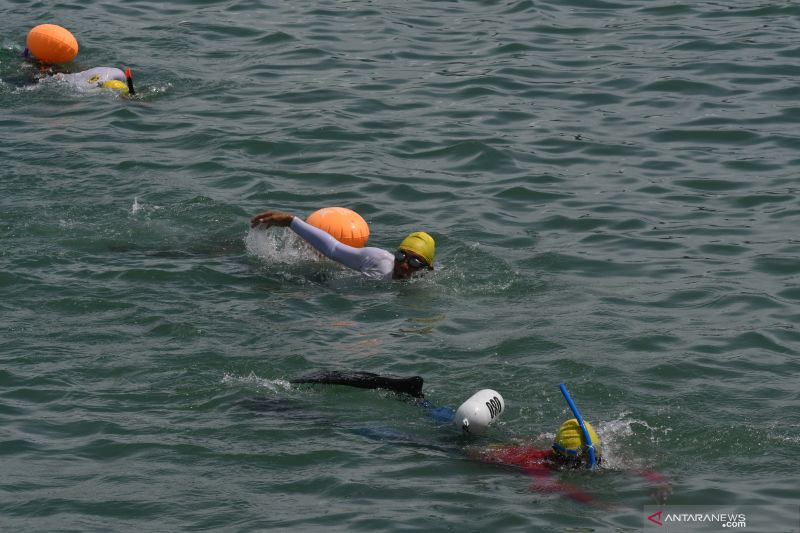 LOMBA RENANG LINTAS TELUK PALU